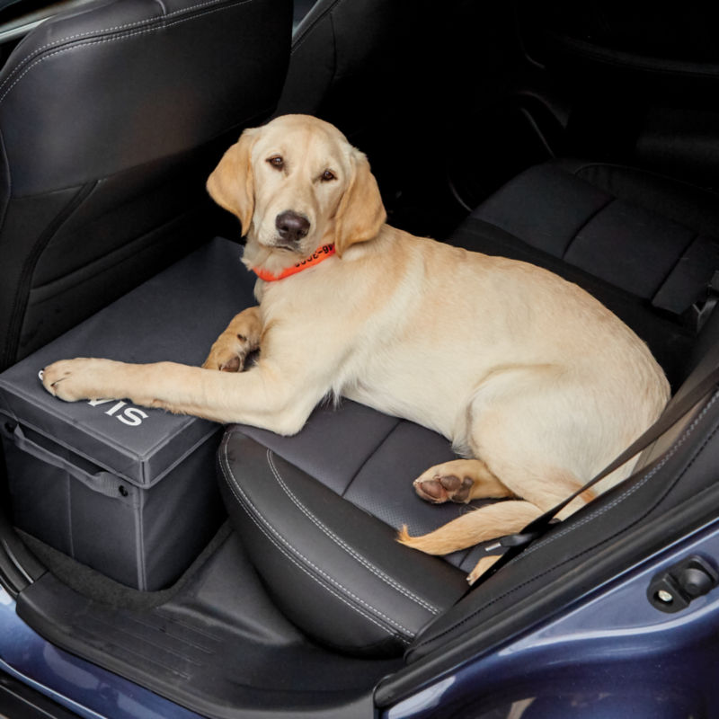 Dog Backseat Extender with Storage