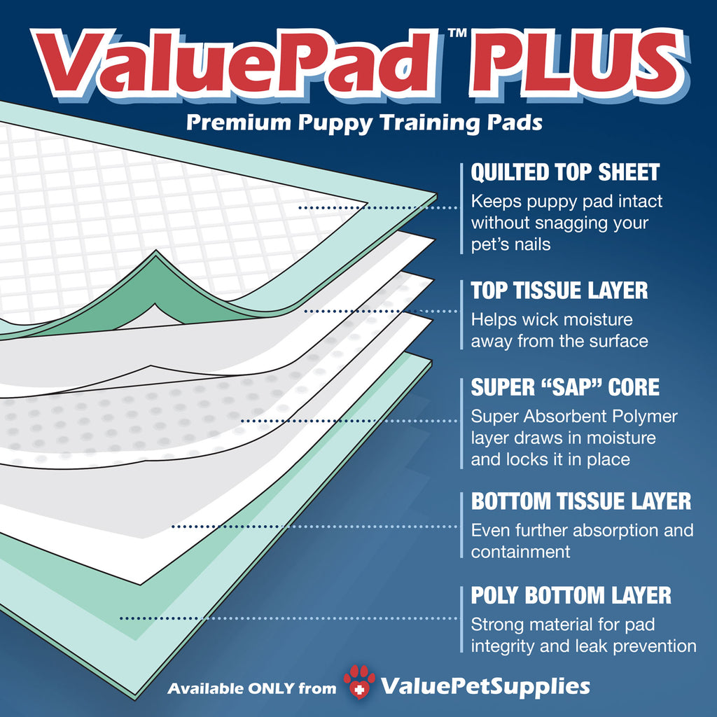 ValuePad Plus Puppy Pads, Medium 23x24 Inch, 200 Count - Premium Pee Pads for Dogs, Tear Resistant, Super Absorbent Polymer Gel Core, 5-Layer Design 