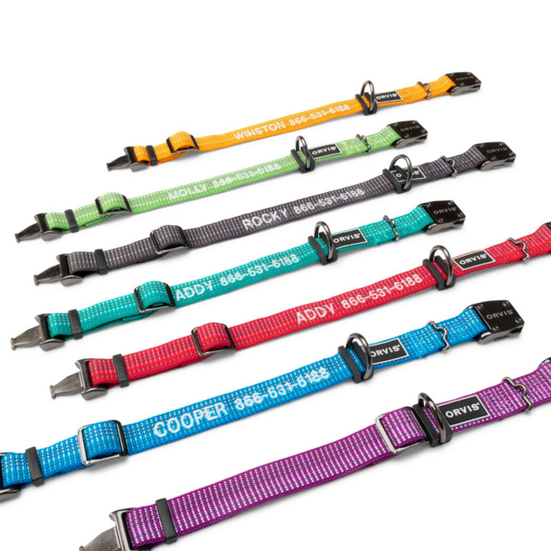 Tough Trail Dog Collar and Leash