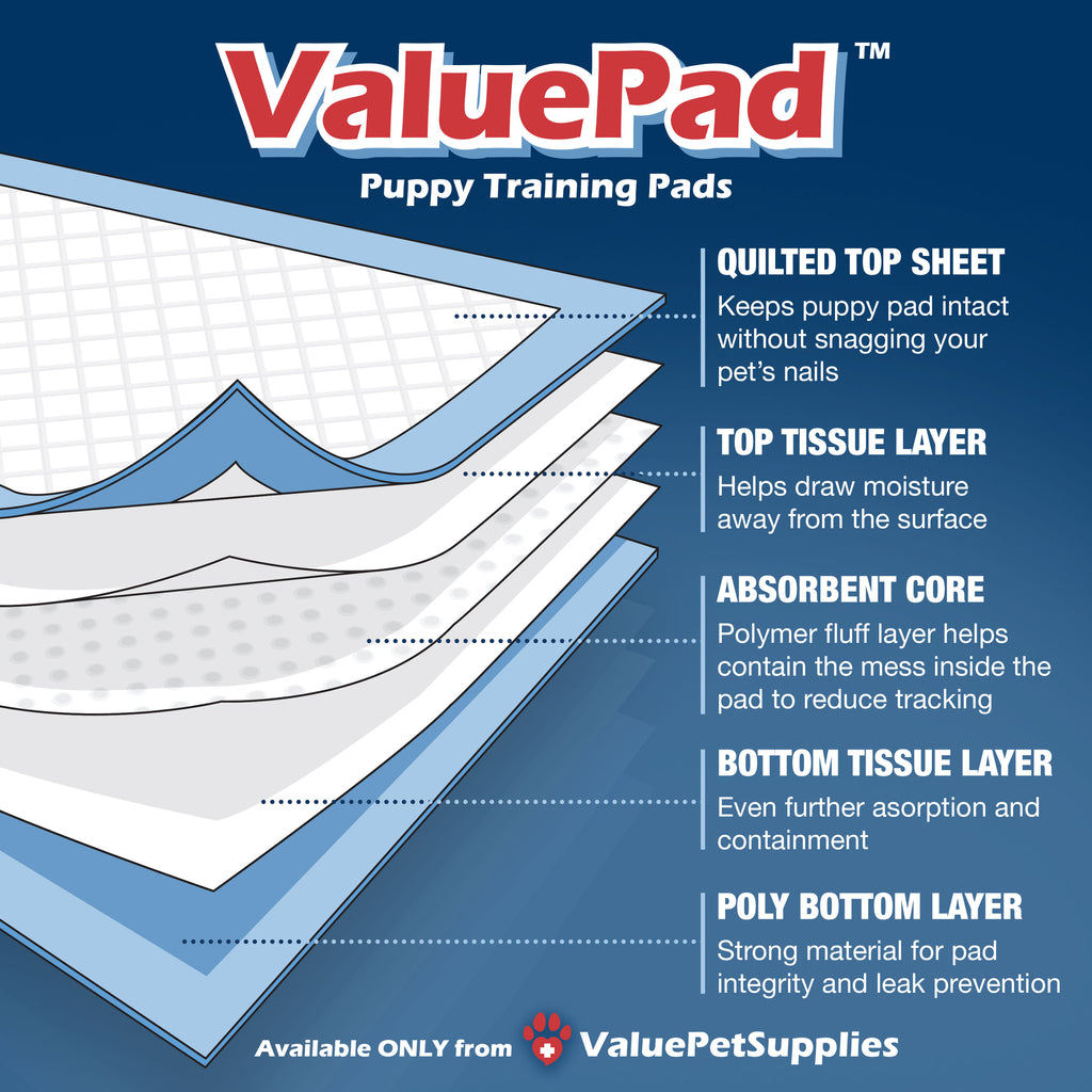 ValuePad Puppy Pads, Small 17x24 Inch, 600 Count BULK PACK - Economy Training Pads for Dogs, Leak Proof 5-Layer Design 